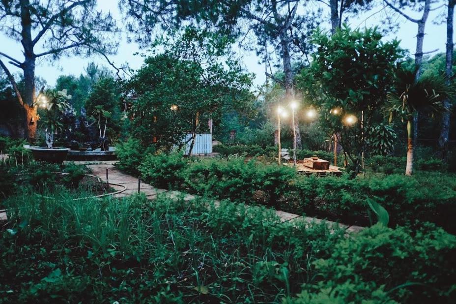 Sum Villa Homestay Mang Den Kon Von Kla Luaran gambar